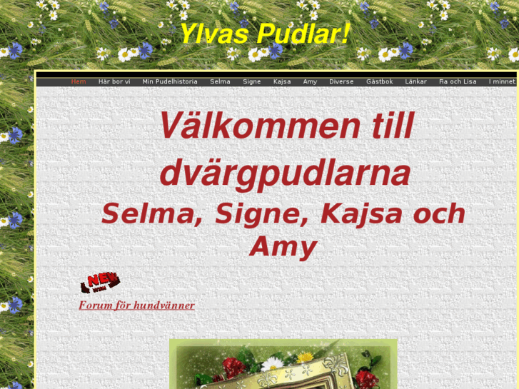 www.ylvaspudlar.com