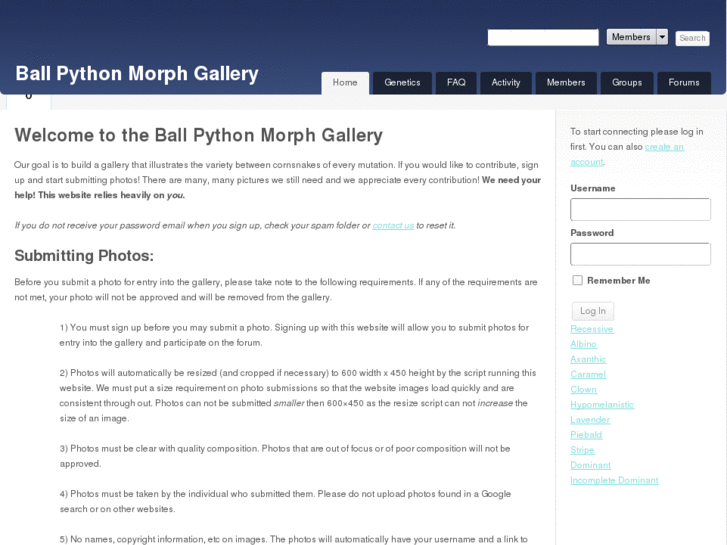 www.ballpythonmorphgallery.com