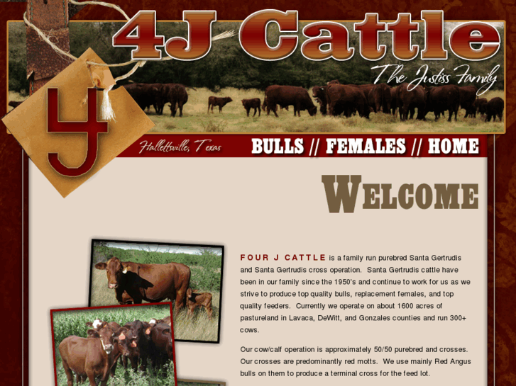 www.fourjcattle.com