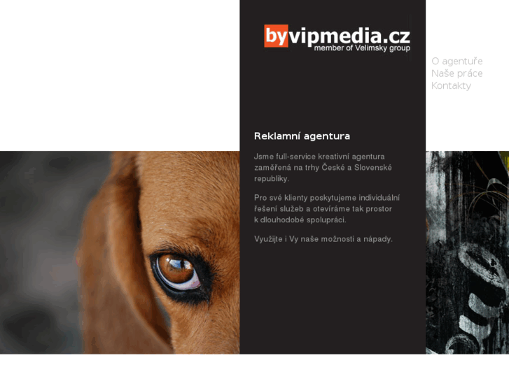 www.vipmedia.cz