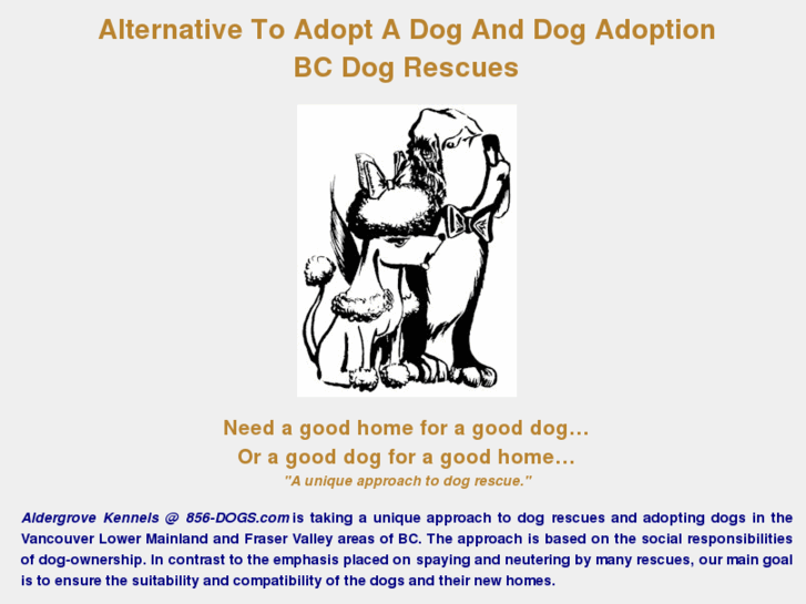 www.adoptdogsbc.com