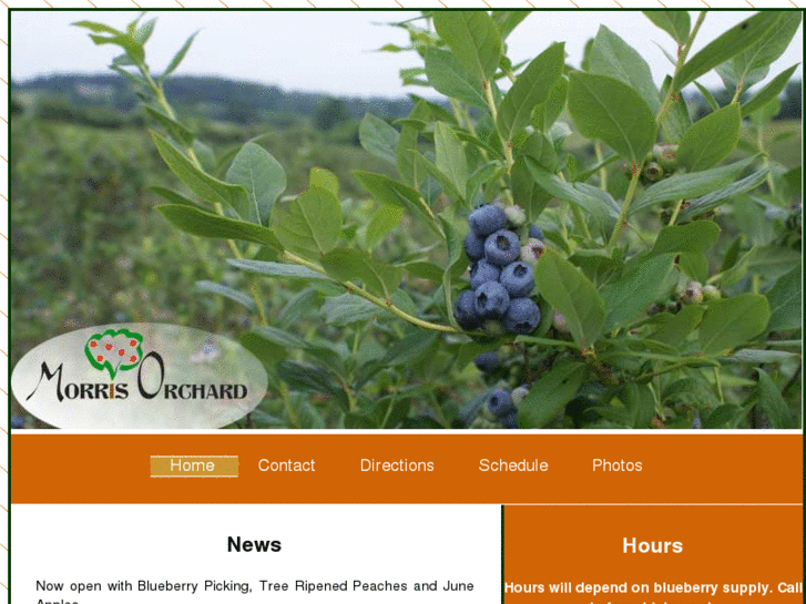 www.morrisorchard.com