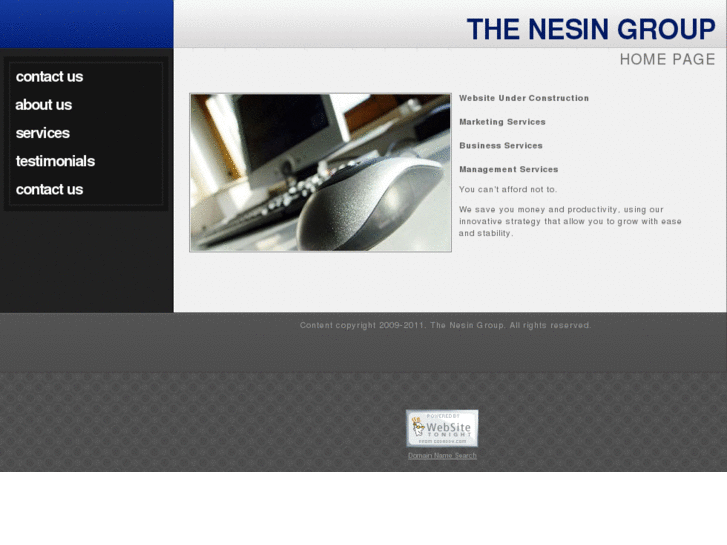 www.nesingroup.com