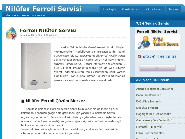 www.niluferferroliservisi.com