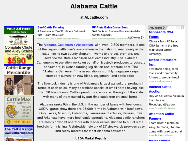 www.alcattle.com