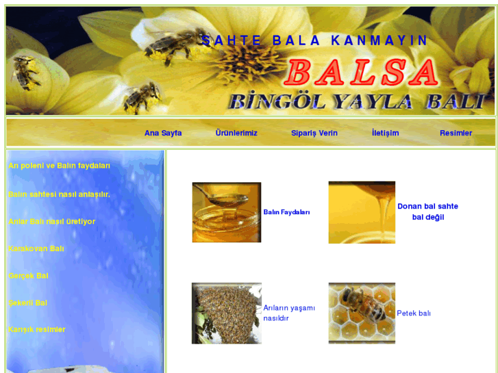 www.balsabal.com