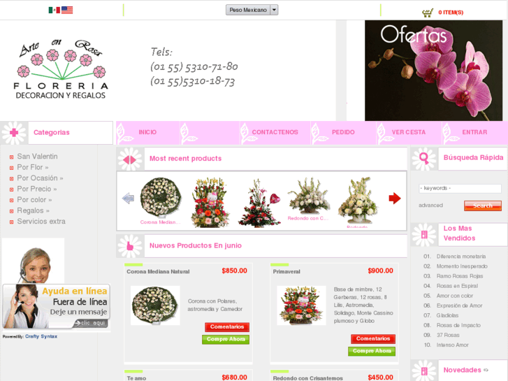 www.floreriartenrosa.com