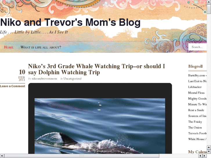 www.nikoandtrevorsmom.com