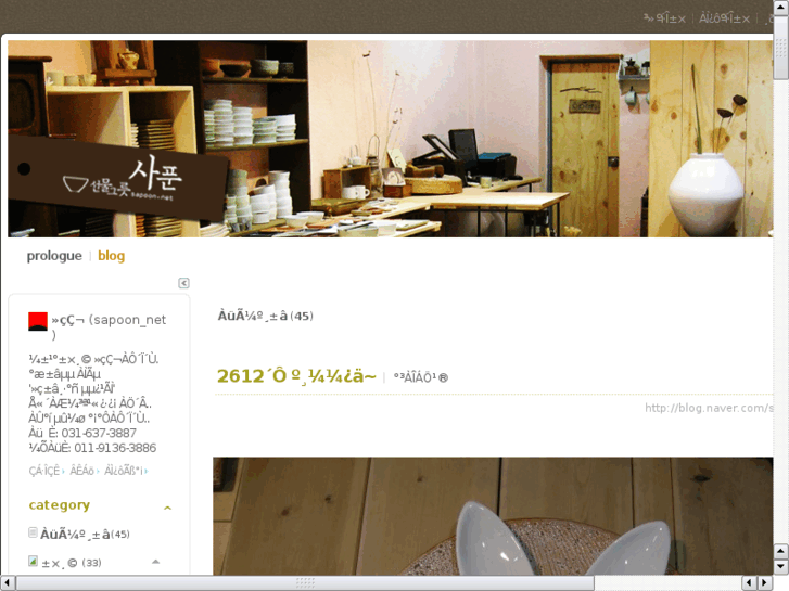 www.sapoon.net