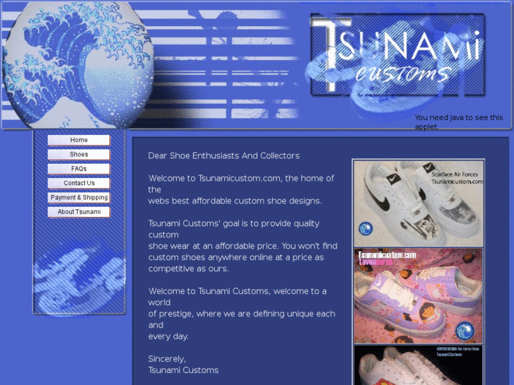 www.tsunamicustom.com