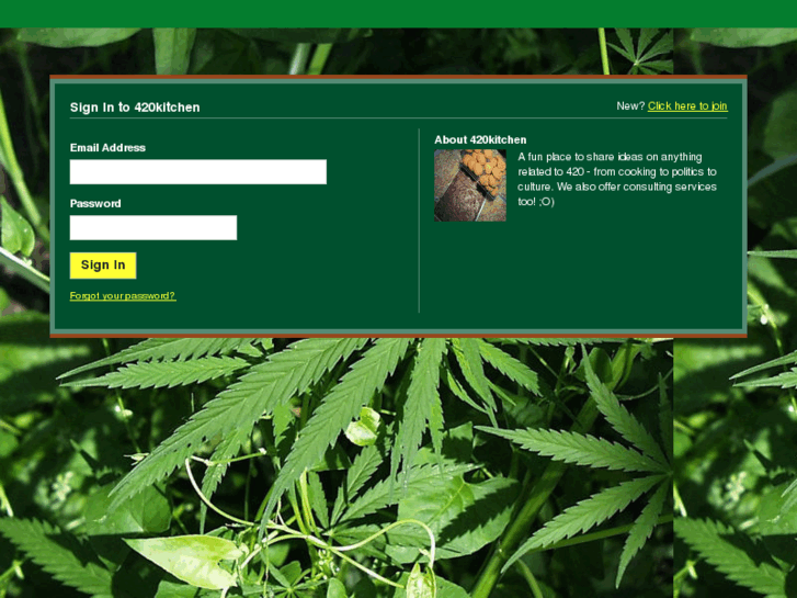 www.420kitchen.com