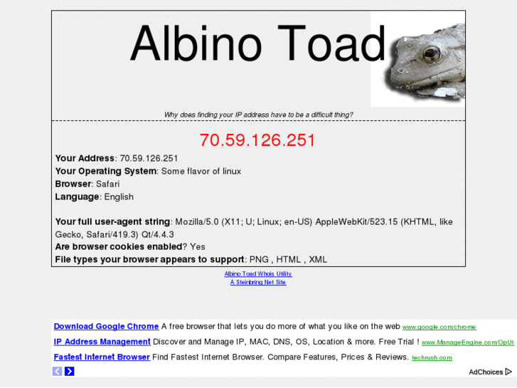 www.albinotoad.com