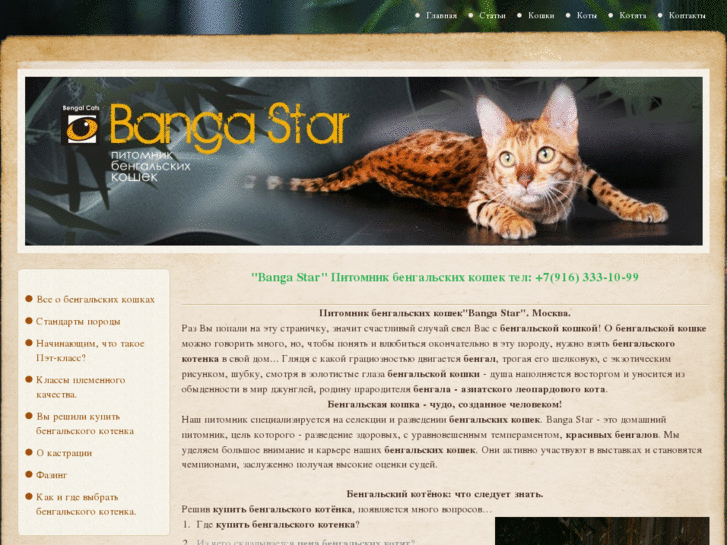 www.banga-star.ru