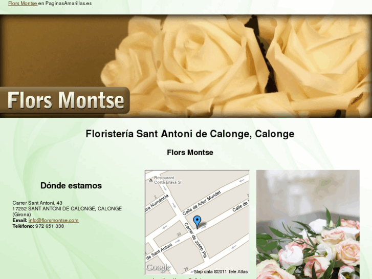 www.florsmontse.com