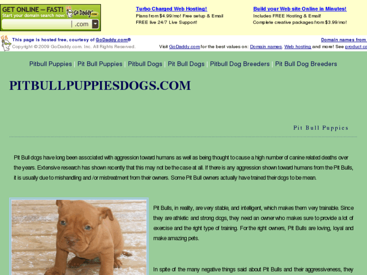 www.pitbullpuppiesdogs.com