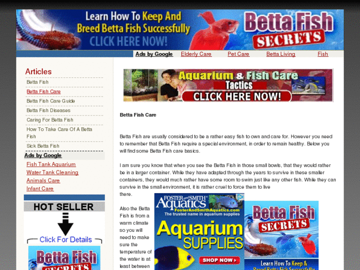 www.bettafishcaresite.info