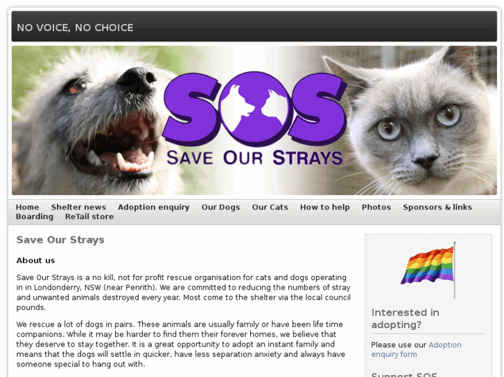 www.saveourstrays.org.au