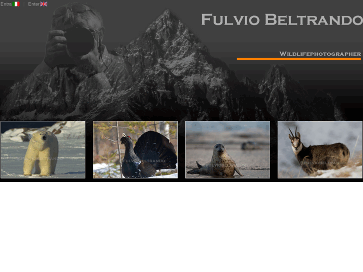 www.beltra-photos.com