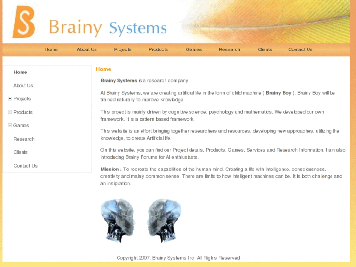 www.brainysystems.net