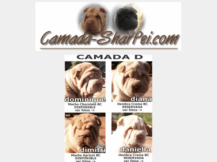 www.camada-sharpei.com