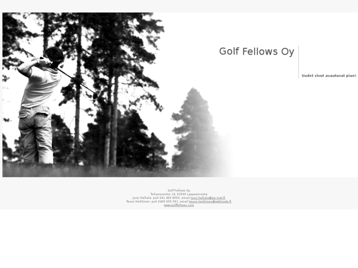 www.golffellows.com