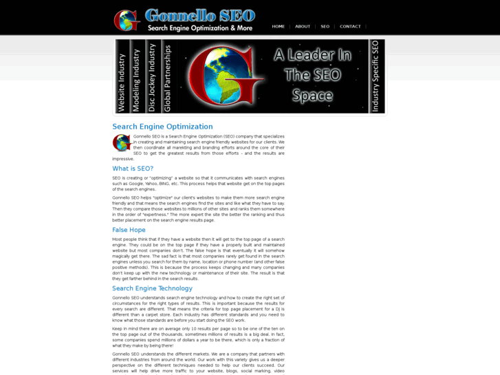 www.gonnelloseo.com