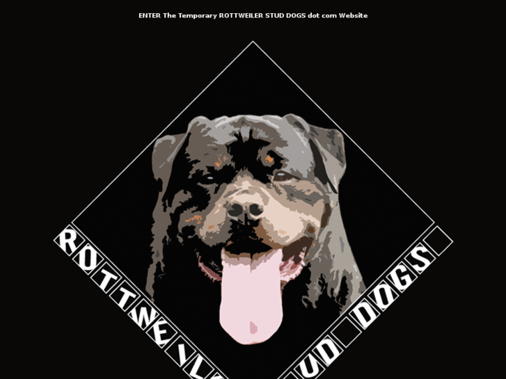 www.rottweilerstuddogs.com