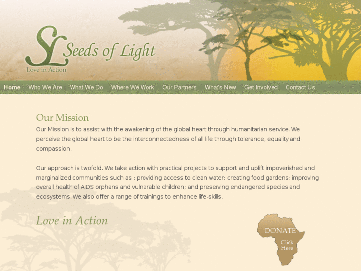 www.seedsoflight.org