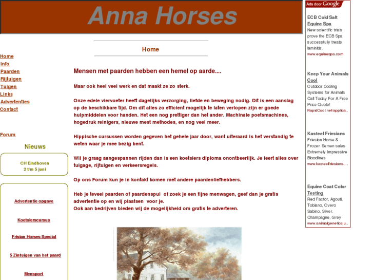 www.anna-horses.com