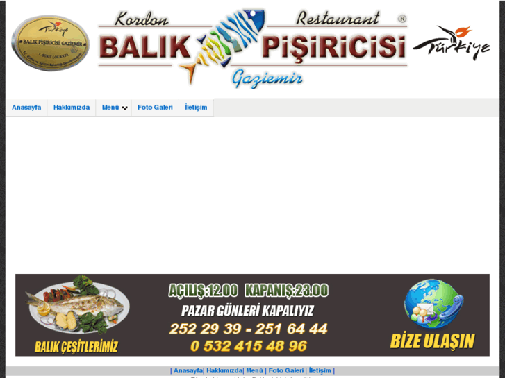 www.balikpisiricisigaziemir.com