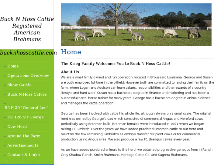 www.bucknhosscattle.com