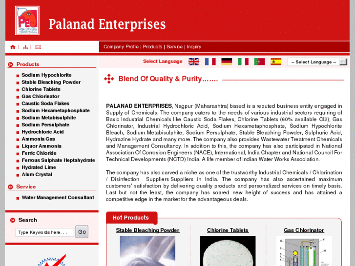 www.palanadenterprises.com