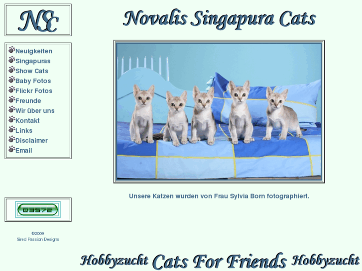 www.singapura-cats.com