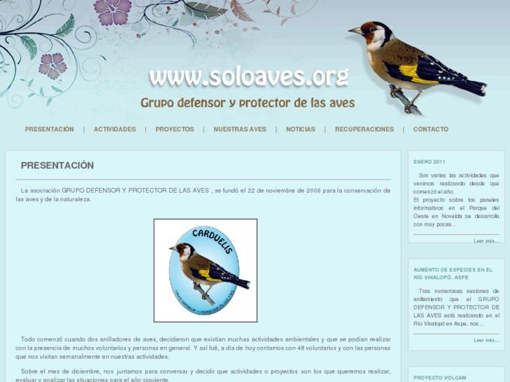 www.soloaves.org