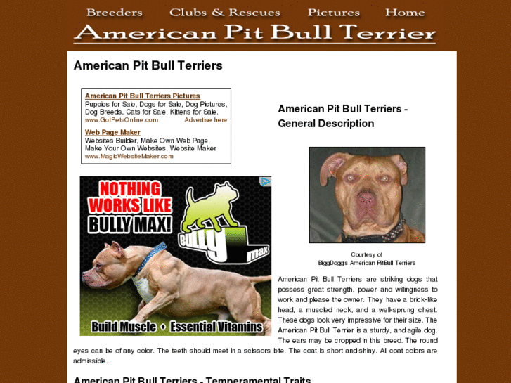 www.american-pitbull-terrier-dogs.com