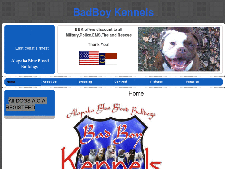 www.badboykennels.com