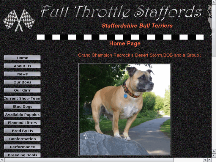 www.fullthrottlestaffords.com