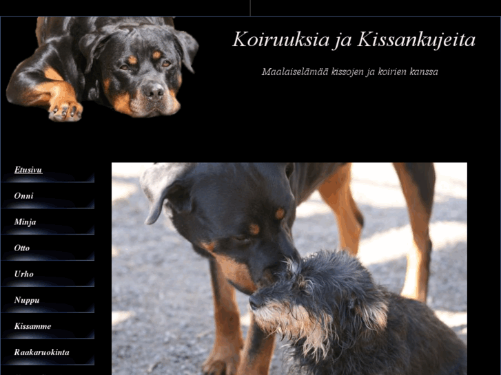 www.koiruuksiajakissankujeita.com