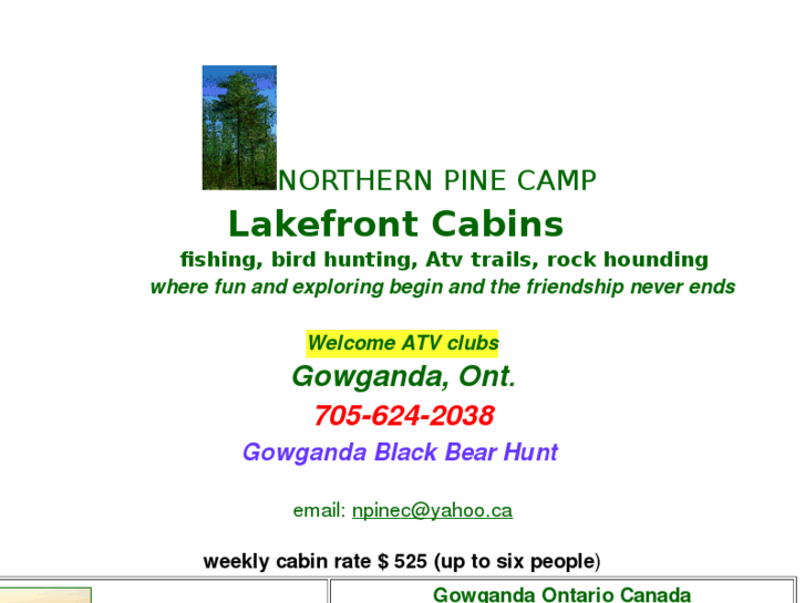 www.northernpinecamp.com