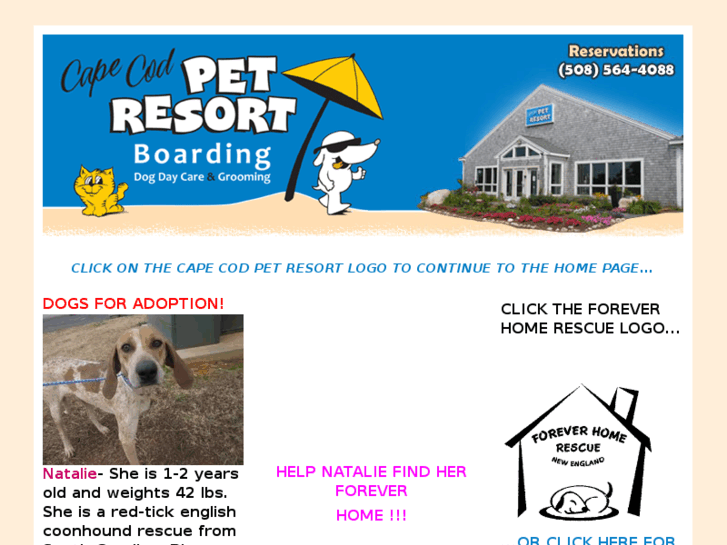 www.capecodpetresort.com