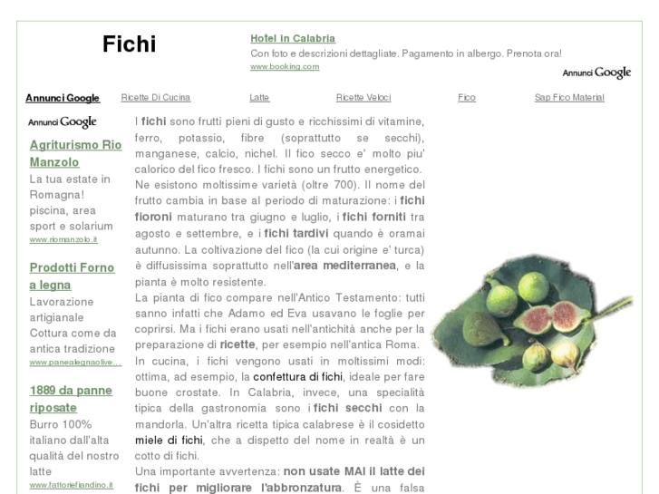 www.fichi.info