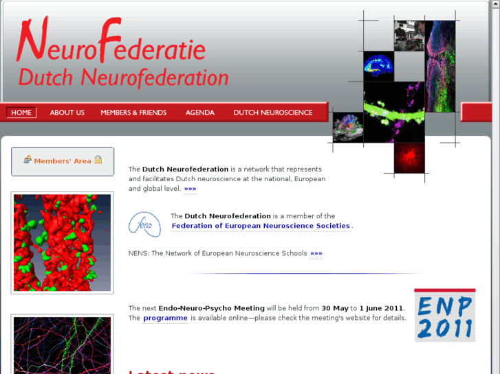 www.neurofederatie.nl