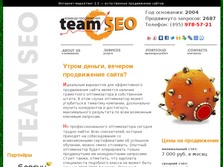 www.teamseo.ru