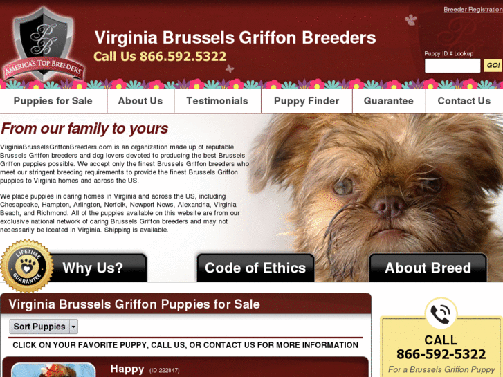 www.virginiabrusselsgriffonbreeders.com