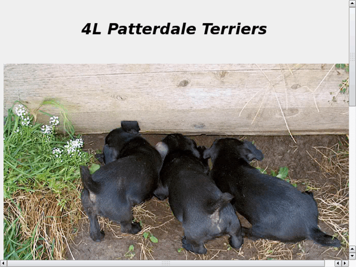 www.4lpatterdale.com