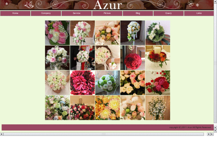 www.azur-inc.biz