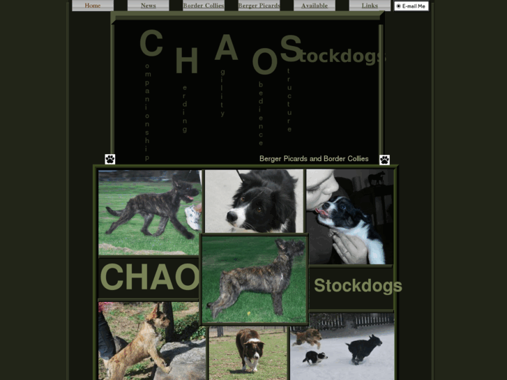 www.chaosstockdogs.com