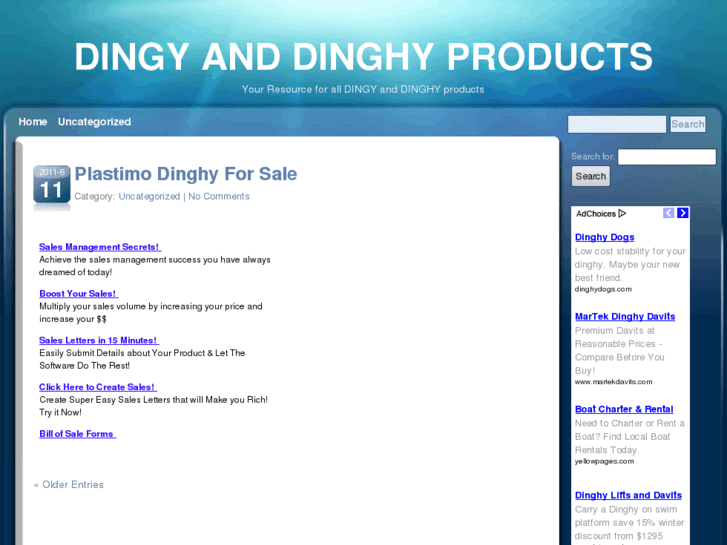 www.dingyproducts.info