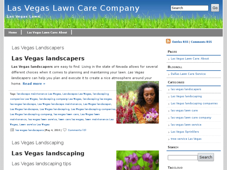 www.lasvegaslawncarecompany.com