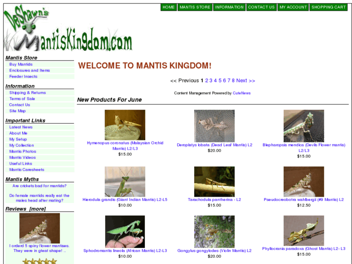 www.mantiskingdom.com